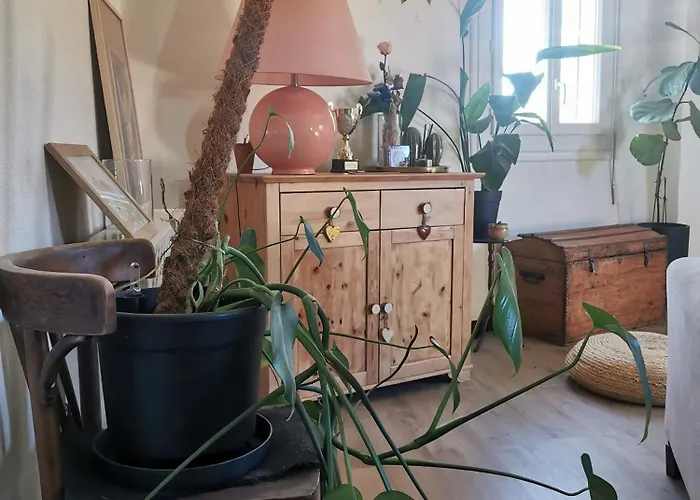 Lumineux - Centre De *